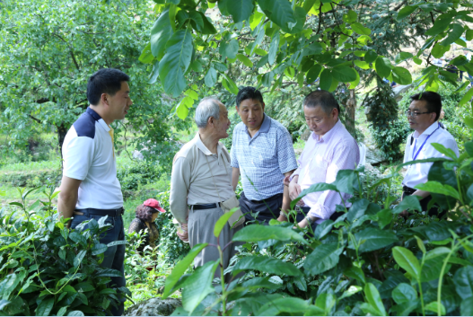 安康富硒茶引爆中国西部最牛茶专业展会(图11)